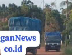 Dua Armada Pickup Muatan Overload Mundur Sembunyi di Jembatan Enam Barelang, Diduga Angkut Barang Ilegal
